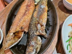 -坦坦大炉·韩式烤肉(望京店)