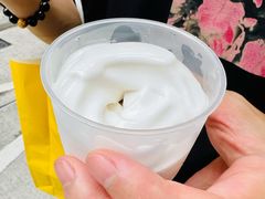 椰子雪糕-洪馨椰子