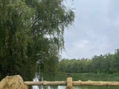 -泰安地下龙宫景区