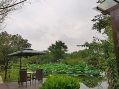 -洪湖家庭农场·团建·露营·会议