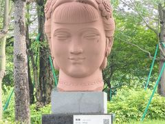-王借岗森林公园