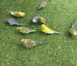 -萌宠亲子动物乐园(槐房万达店)