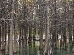 -常州古运河南大街文化旅游区-人民公园