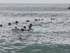 -玫瑰海岸文化旅游度假区