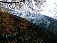 -黄龙山原始森林景区