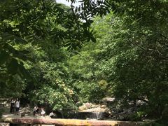 -陕西省红河谷森林公园