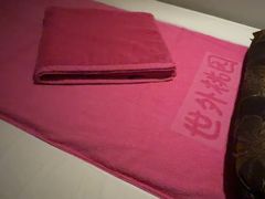 -世外桃源水疗会(皇庭彩园店)