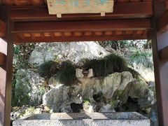 -灵隐飞来峰景区