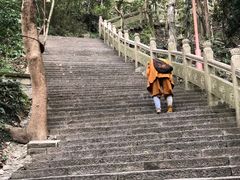 -普陀山风景区-佛顶山