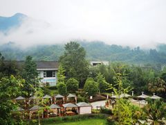 -雅安楠水阁温泉酒店