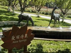 -静之湖湖畔餐厅