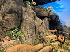 -陕西自然博物馆