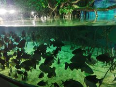 -福州罗源湾海洋世界旅游区