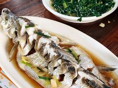 -弘德楼·自家菜园(朱家角古镇店)