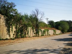 -白水寺森林公园