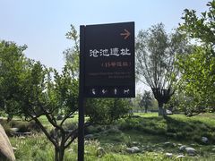 -汉长安城未央宫国家考古遗址公园