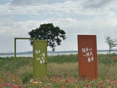 -七的湖·晚芳亭·阳澄湖农家菜·大闸蟹(莲花岛店)