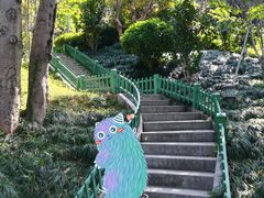 -乌山风景区