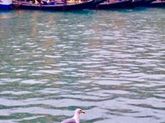 -大运河
