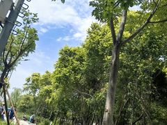 -绿堤公园