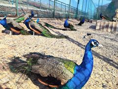 -南京金牛湖风景区