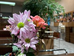 -WOKKA by艮上(中海环宇荟店)