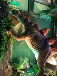 点击看大图 -恐龙探索乐园(磁器口店)