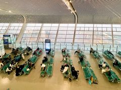 -合肥新桥国际机场-航站楼