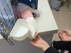 -乖乖宠物医院·猫科·骨科·24小时(云岗分院)