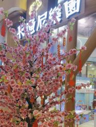 -卡通尼·超级欢乐屋(重庆渝北吾悦广场店)