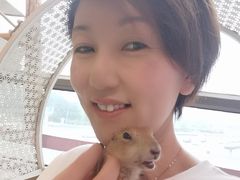 -70cat德文卷毛猫·缅因猫纯种猫舍
