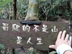 -七仙岭温泉国家森林公园