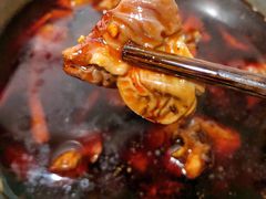 -冯记香辣兔火锅(茶店子总店)