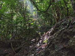 -七仙岭温泉国家森林公园