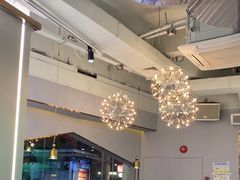 -探窝·竹笙椰子鸡(杨箕店)