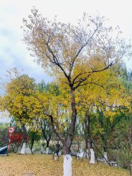 -玄武湖景区-情侣园游乐场