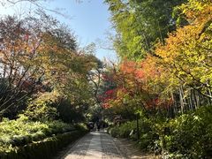 -西湖风景区十里琅珰-五云山