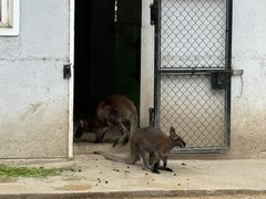 -上海动物园(地铁站)