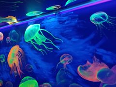 -成都浩海立方海洋公园