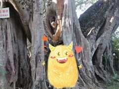 -瑞丽独树成林风景区