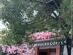 -星巴克臻选(思南公馆店)