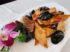 -云中小雅