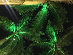 -海港城购物中心