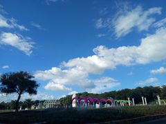 -松山湖梦幻百花洲