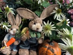 -第101座花园餐厅(湖滨88店)