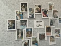 -佑安动物医院·全科·内窥镜中心(幸福巷店)