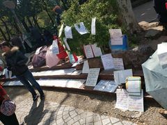 -人民公园-相亲角