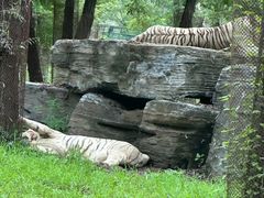 -秦皇岛野生动物园