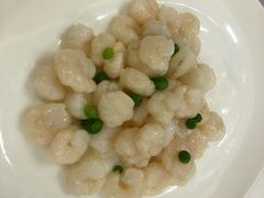 -宝燕壹号(徐汇店)