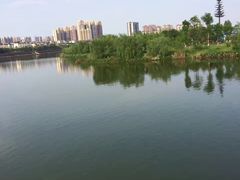 -眉山湿地公园(东坡区)